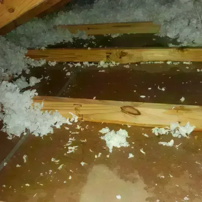 Attic Water Damage in Ferndale, PA